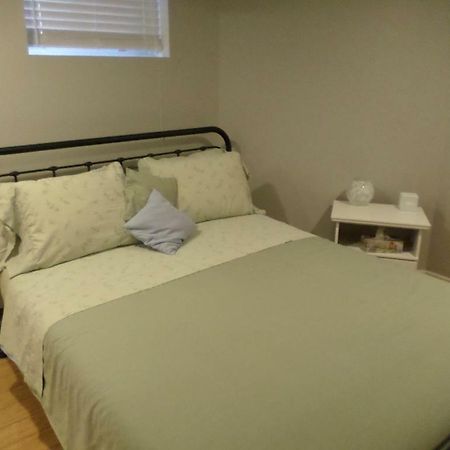 Fantastic And Modern Downtown 1-Bed Basement Apt., Parking Wi-Fi And Netflix Included Ottawa Exteriör bild